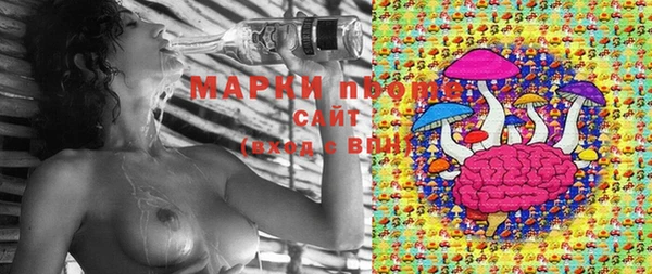 ГАЛЛЮЦИНОГЕННЫЕ ГРИБЫ Нягань