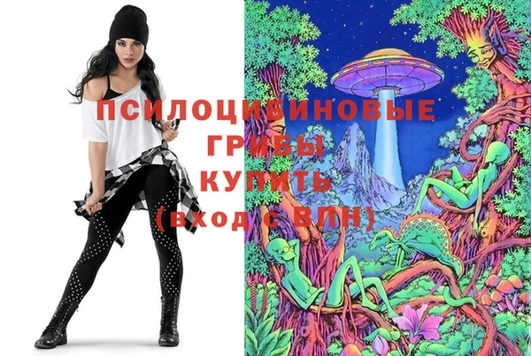 молекула духа Новоульяновск