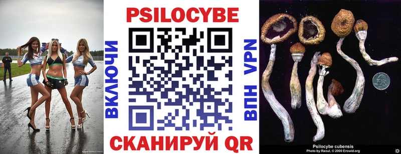 Галлюциногенные грибы Cubensis  где купить наркотик  Сертолово 