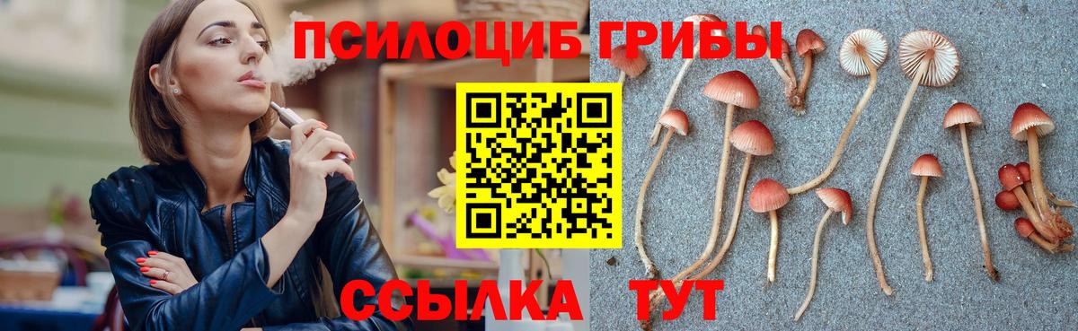 Галлюциногенные грибы Psilocybe  Галлюциногенные грибы Psilocybe  Сертолово  Вход с VPN 